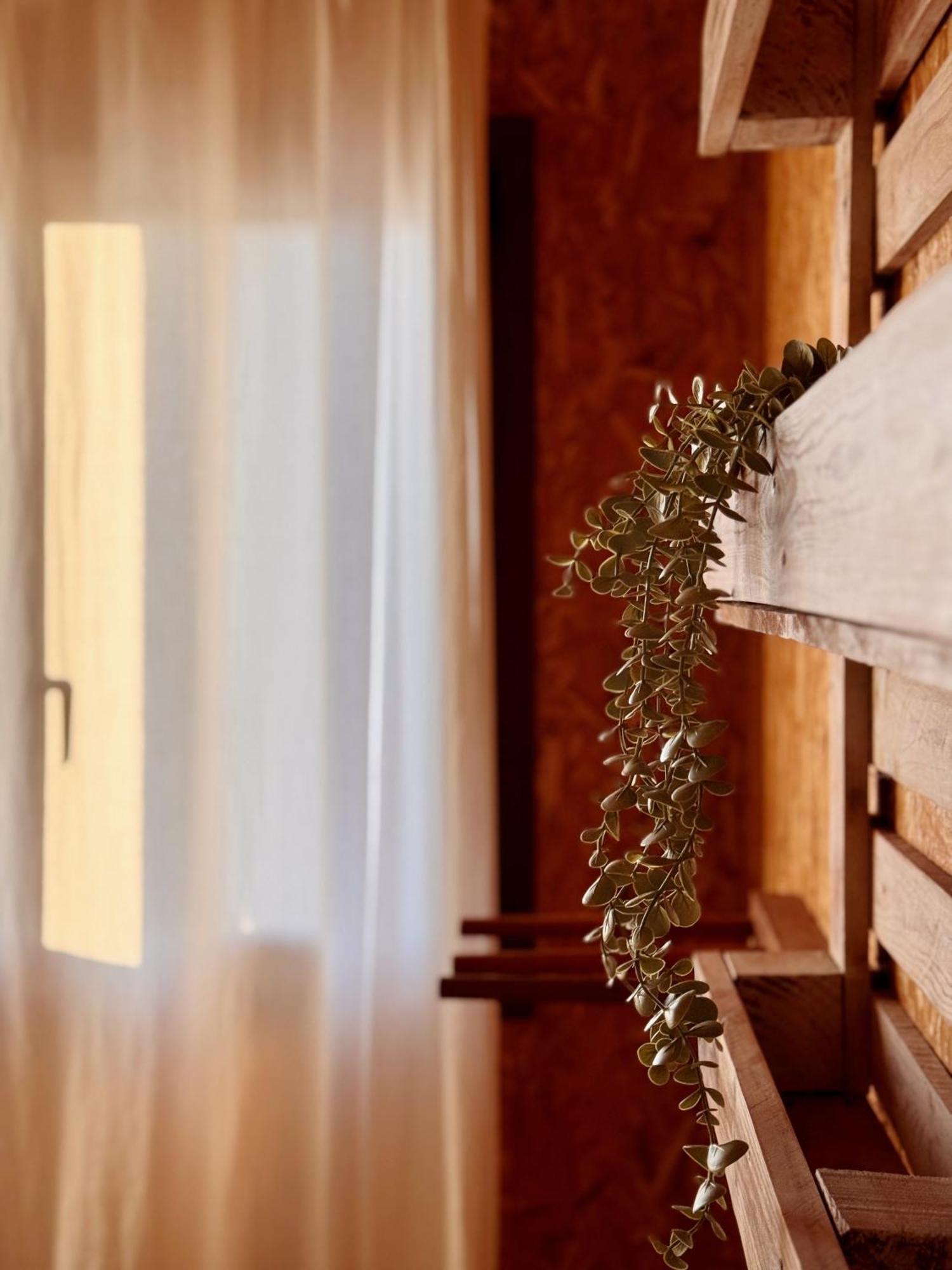 Eco Hostel - Tribo Da Praia เฟอร์เรล ภายนอก รูปภาพ